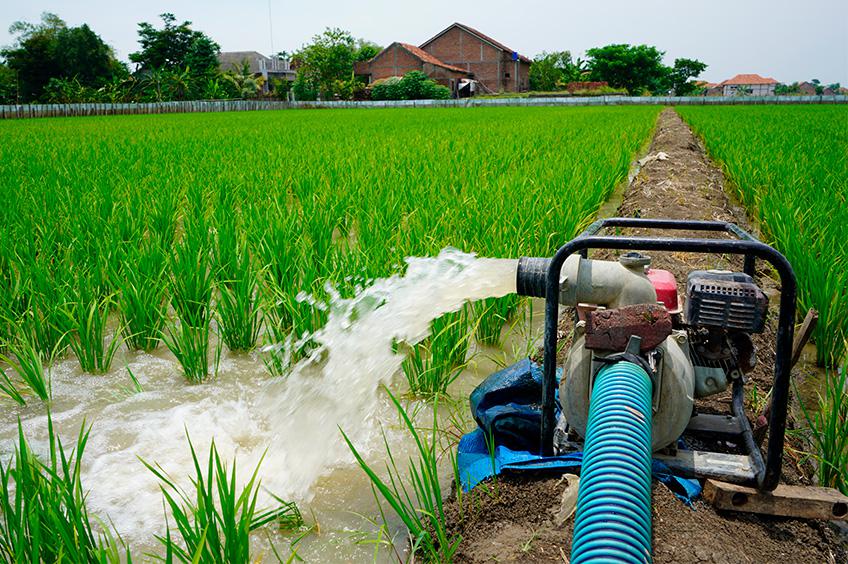 Bomba d'água molhando plantação